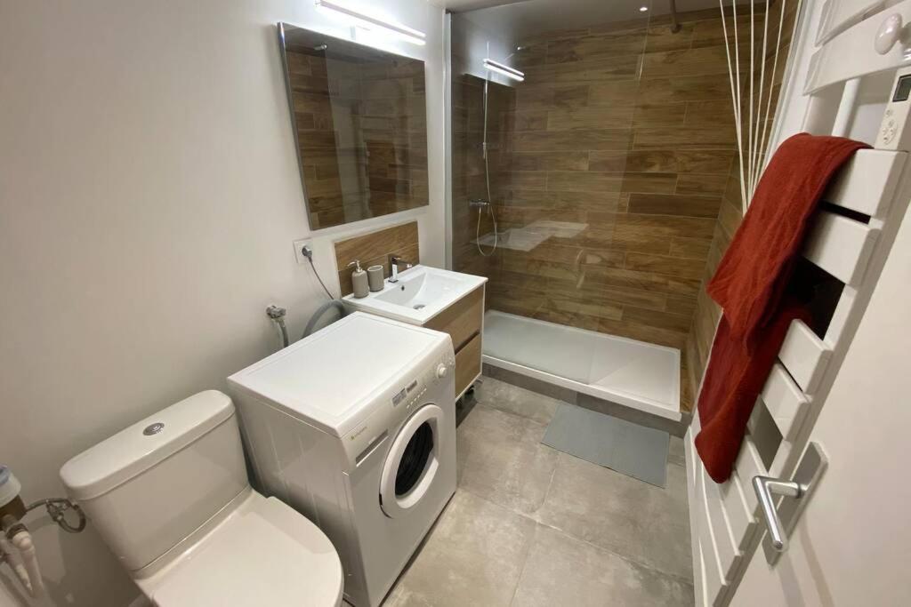 Place De Metz, Hyper-Centre Grenoble, Studio 25 M2 Zewnętrze zdjęcie
