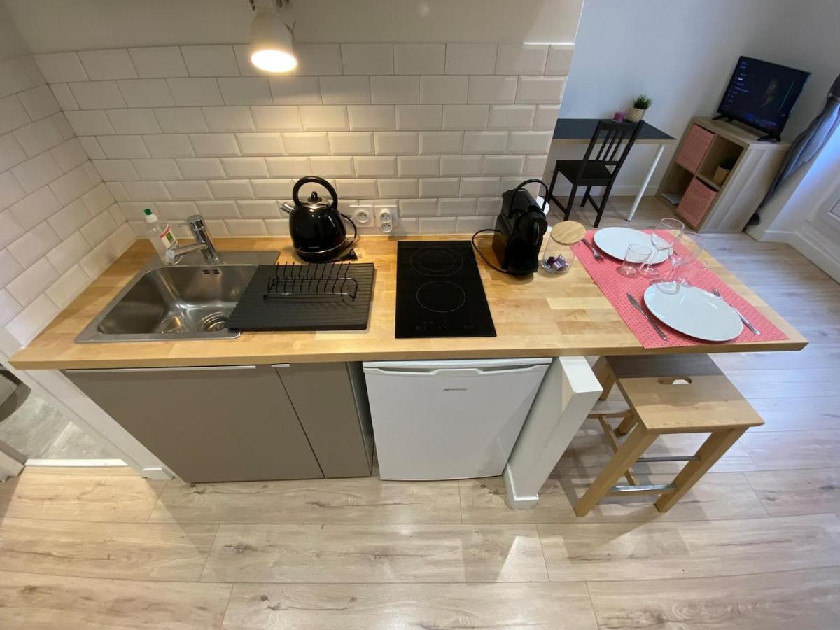 Place De Metz, Hyper-Centre Grenoble, Studio 25 M2 Zewnętrze zdjęcie